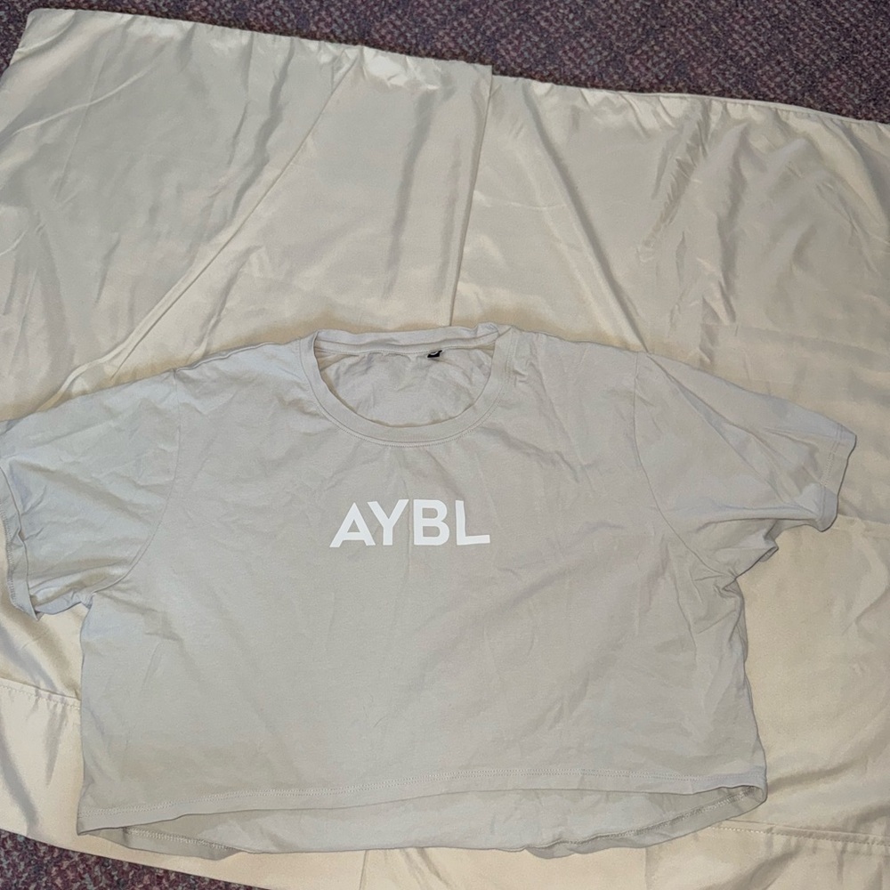 AYBL Light Gray Crop Top